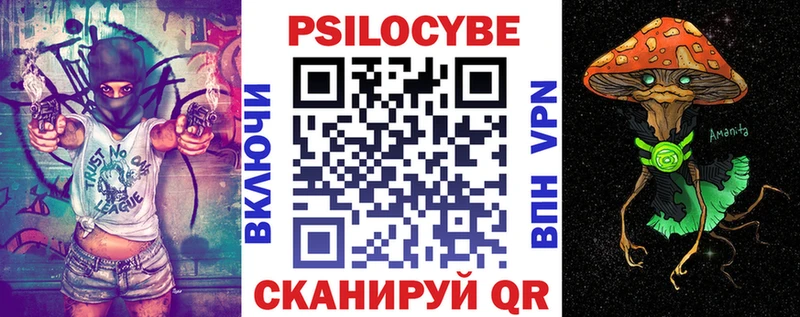 Псилоцибиновые грибы мицелий  Александровск-Сахалинский 